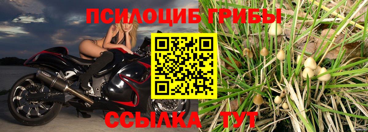 Галлюциногенные грибы Psilocybine cubensis  Вход с VPN  Джанкой 
