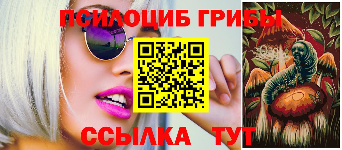 Галлюциногенные грибы Cubensis Джанкой